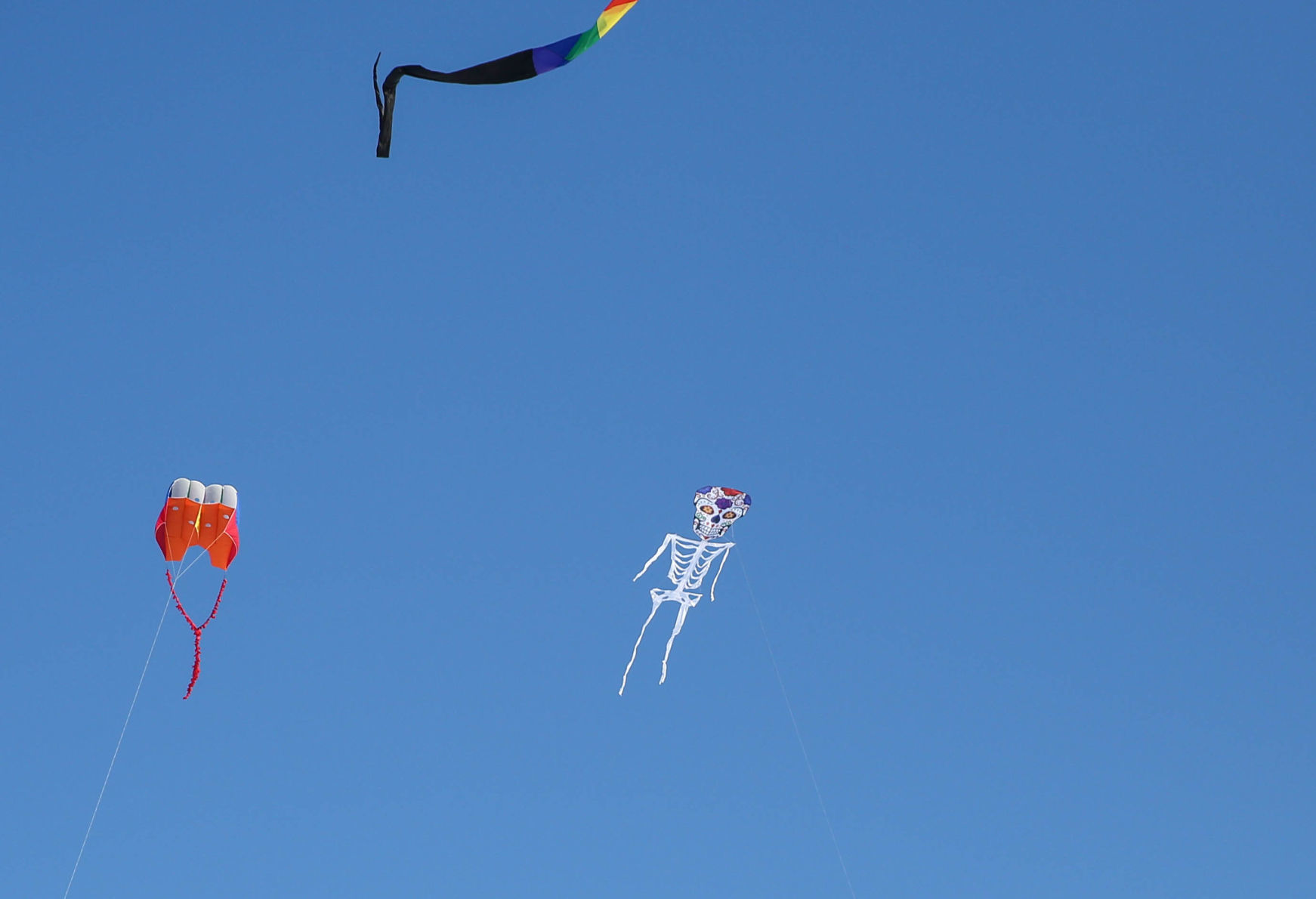 Color the Wind kite festival 02-15-2020 (48).jpg